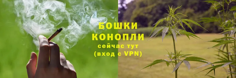 наркошоп  Карачаевск  Бошки марихуана OG Kush 